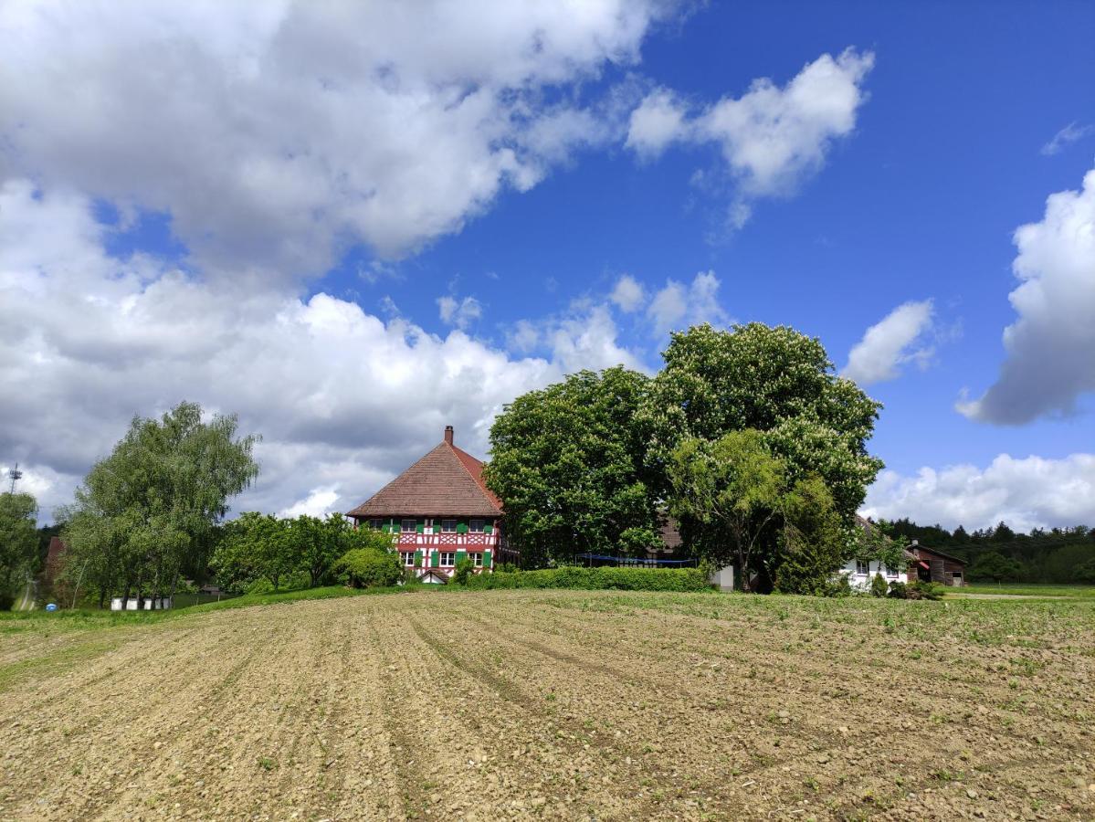 Hofgut Breitenbach Markdorf Ngoại thất bức ảnh